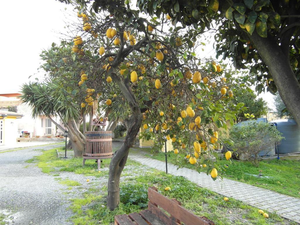 Agriturismo Il Gelsomino Ritrovato Milazzo Dış mekan fotoğraf