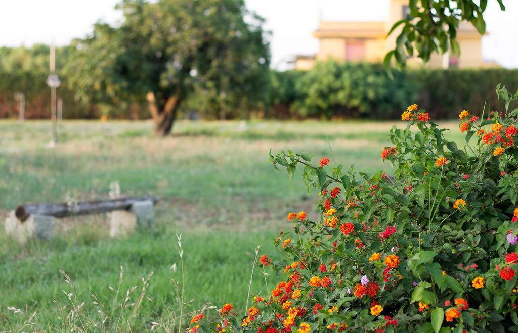 Agriturismo Il Gelsomino Ritrovato Milazzo Dış mekan fotoğraf