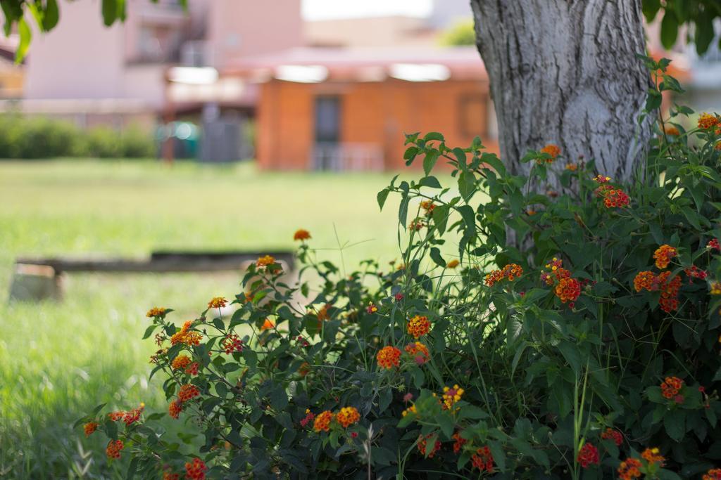 Agriturismo Il Gelsomino Ritrovato Milazzo Dış mekan fotoğraf